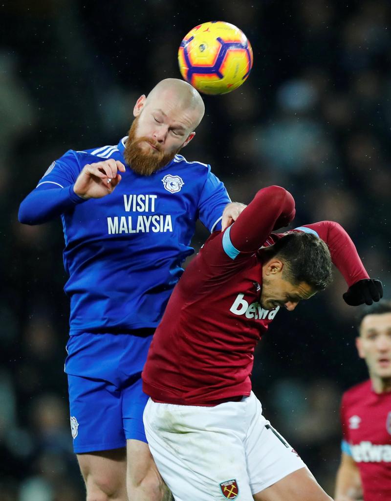 Pitbull